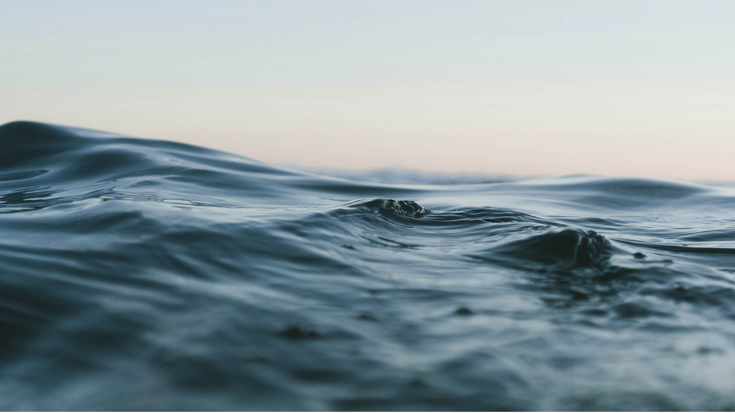 Navigating Public and Private Credit Markets: Liquidity, Risk, and Return Potential